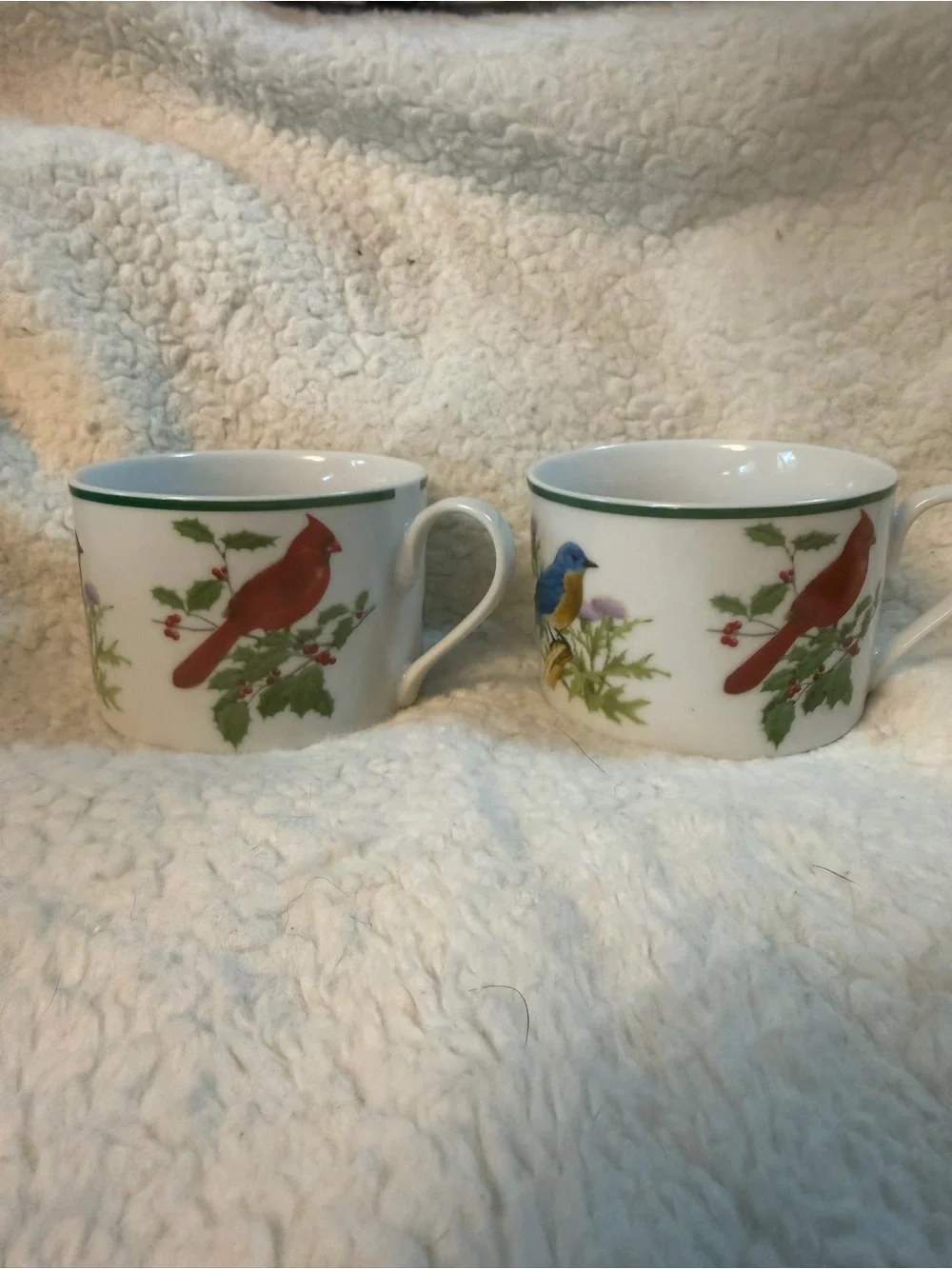 2 Vintage National Wildlife Federation “American Songbirds” Tea Cups. RARE
